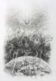 /album/fotogaleria/iba-jedna-cesta-jpg1/